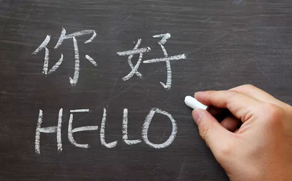 Chinese Language Courses: Foundations, Mechanisms, and Educational Context