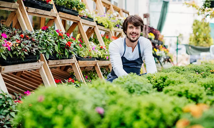 Horticulture Courses: Principles, Learning Mechanisms, and Educational Applications