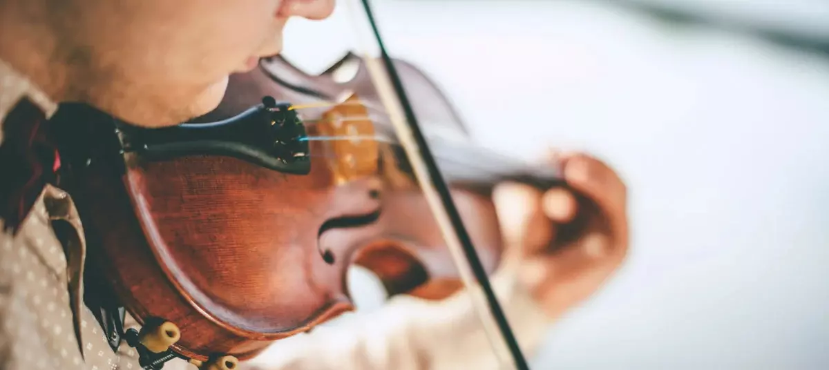 Violin Training: Fundamentals, Techniques, and Educational Approaches