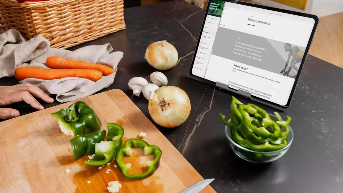 Nutritionist Training: Knowledge Systems, Clinical Applications